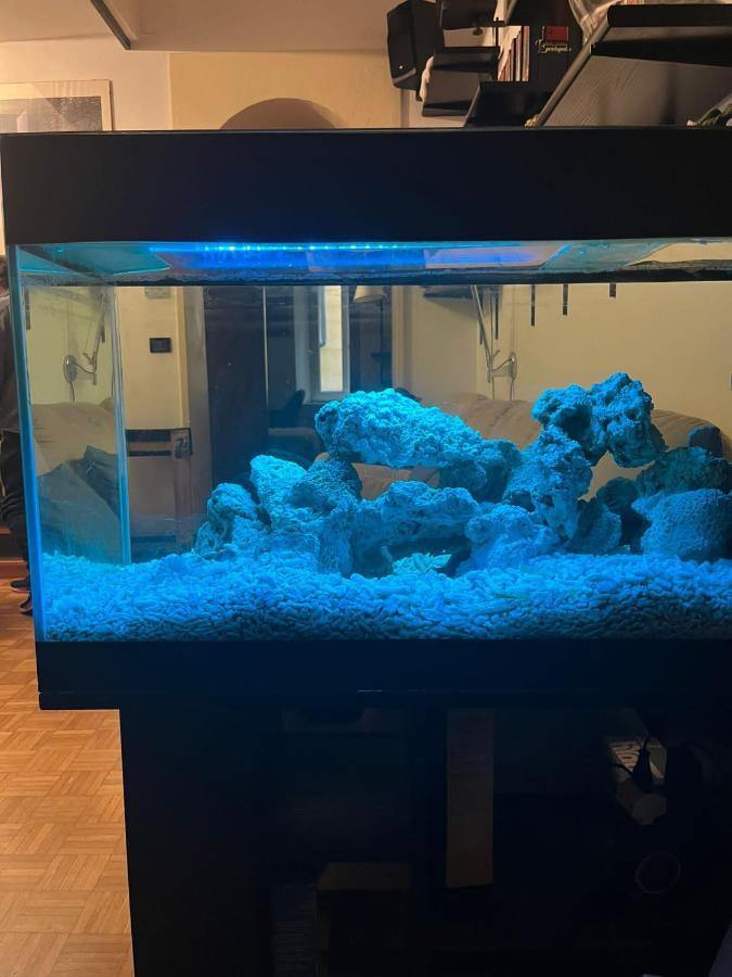 Appartamento Red Sun Acquarium Bologna Esterno foto